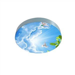 吊顶灯箱